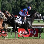 Hymn, horses, Fleur De Lis Stables, Forego Stakes, sábado, 29 de agosto de 2026, Saratoga. Foto: Coglaniese Photo & Susie Raisher