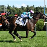 Spirit Of St Louis, horse, Madaket Stables LLC, West Point Stakes, viernes, 28 de agosto de 2026, Saratoga. Foto: Coglaniese Photo & Susie Raisher