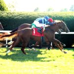Adonius, horses, Soldier´s Call (GB), Indian Summer Stakes, domingo, 4 de octubre de 2026, Keeneland. Foto: @coadymediaUSA
