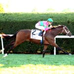 Agate, horse, Karakontie, Castle Key Bourbon Stakes, domingo, 4 de octubre de 2026, Keeneland. Foto: @coadymediaUSA