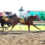 American History, horses, Constitution, Breeders Futurity, sábado, 3 de octubre de 2026 Keeneland. Foto: @coadymediaUSA