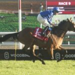 Arabian Crown, horses, Dubawi, Canadian International Stakes, sábado, 3 de octubre de 2026, Woodbine. Michael Burns Photography & Woodbine
