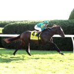 Bottas, horse, Vekoma, Bryan Station Stakes, sábado, 24 de octubre de 2026, Keeneland. Foto: @coadymediaUSA
