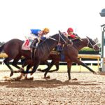 Dr. Kapur, horses, Mckinzie, Perryville Stakes, sábado, 17 de octubre de 2026, Keeneland. Foto: @coadymediaUSA