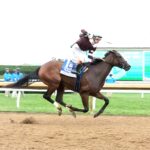 Emphatic, horse, Gainesway Stable, Darley Alcibiades Stakes, viernes, 2 de octubre de 2026, Keeneland. Foto: Coady Media