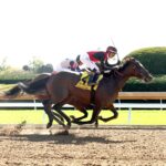 Evanescence, horse, Munnings, Thoroughbred Club America, sábado, 3 de octubre de 2026, Keeneland. Foto: @coadymediaUSA