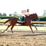 Fully Subscribed, horse, Klaravich Stables, domingo, 4 de octubre de 2026, Keeneland. Foto: @coadymediaUSA