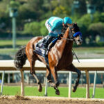 Hughes, horse, Into Mischief, American Pharoah Stakes, sábado, 3 de octubre de 2026, Santa Anita Park. Foto: Benoit Photo
