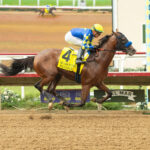 Hughes, horse, Into Mischief, Del Mar Futurity, sábado, 6 de septiembre de 2026, Del Mar. Foto: Benoit Photo