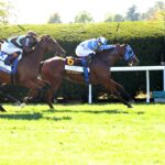 Joe Shiesty, horse, Air Force Blue, Fanduel Woodford Stakes, sábado, 3 de octubre de 2026, Keeneland. Foto: @coadymediaUSA