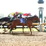 Just For Pipa, horse, Justify, Bowman Mill Stakes, sábado, 24 de octubre de 2026, Keeneland. Foto: @coadymediaUSA