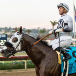 King Of Gosford, Horses, Zoustar, Del Mar Mile, sábado, 22 de agosto de 2026, Del Mar. Foto: Benoit Photo