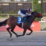 Fletcher, horse, Gershwin, Gran Premio Polla de Potrillos, sábado, 5 de septiembre de 2026, Hipódromo de Palermo. Foto: Prensa Palermo