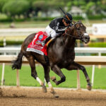 Listenupshance, horse, Shancelot, Santa Anita Sprint Championship Stakes, domingo, 27 de septiembre de 2026, Santa Anita Park. Foto: Benoit Photo