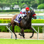 Little Opal, Horses, Caravaggio, John C. Harris Stakes, sábado, 26 de septiembre de 2026, Santa Anita Park. Foto: Benoit Photo
