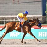 Look At Me, horse, Al Adiyaat, Gran Premio Selección de Potrancas, sábado, 5 de septiembre de 2026, Hipódromo de Palermo. Foto: Prensa Palermo