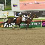 Lured Away, horse, Enticed, Clásico Jockey Club de Venezuela, domingo, 4 de octubre de 2026, La Rinconada. Foto: José Antonio Aray