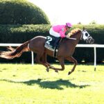 Malibu Smart, horse, English Channel, Rood and Riddle Dowager Stakes, domingo, 18 de octubre de 2026, Keeneland. Foto: @coadymediaUSA