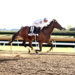 Movie Night, Speightstown, Lexus Raven Run Stakes, sábado, 17 de octubre de 2026, Keeneland. Foto: @coadymediaUSA