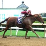 Nakatomi, horse, Firing Line, Stoll Keennon Ogden Phoenix Stakes, viernes, 2 de octubre de 2026, Keeneland. Foto: @coadymediaUSA