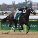 R Disaster, horses, Awesome Slew, jueves, 1 de octubre de 202, Belmont Park. Foto: Coglaniese Photo & Susie Raisher