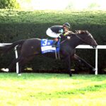 Rhetorical, horse, Gary Barber, Coolmore Turf Mile Stakes, sábado, 3 de octubre de 2026, Keeneland. Foto: @coadymediaUSA