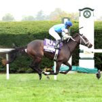 Serenas Ghost, horse, Girvin, Keeneland Sales Jessamine Stakes, viernes, 2 de octubre de 2026, Keeneland. Foto: @coadymediaUSA