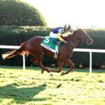 Sister Troienne, horse, Munnings, Bank Of America Valley View Stakes, viernes, 23 de octubre de 2026, Keeneland. Foto: @coadymediaUSA