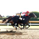 Stress Relief, horse, Not This Time, Myrtlewood Stakes, viernes, 23 de octubre de 2026, Keeneland. Foto: @coadymediaUSA