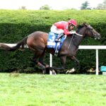 Tam Tam, Horses, Medaglia D´Oro, Dixiana Queen Elizabeth II Challenge Cup Stakes, sábado, 10 de octubre de 2026, Keeneland. Foto: @coadymediaUSA