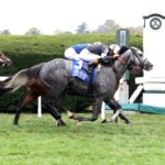Time To Dazzle, horses, Not This Time, Franklin Stakes, domingo, 11 de octubre de 2026, Keeneland. Foto: @coadymediaUSA