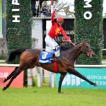 The Gladiator´s Hat, horse, Haras El Ángel de Venecia, Gran General San Martín, sábado, 5 de septiembre de 2026, Hipódromo de Palermo. Foto: Prensa Palermo