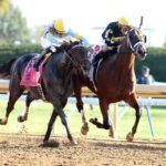 Willy D´s, horse, Lookin At Lucky, Hagyard Fayette Stakes, sábado, 24 de octubre de 2026, Keeneland. Foto: @coadymediaUSA