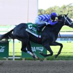 Dotsy, horse, Tacitus, Frizette Stakes, sábado, 3 de octubre de 2026, Aqueduct. Foto: Coglaniese Photo & Susie Raisher