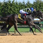 Iron Orchard, horse, Authentic, Frizette Stakes, sábado, 4 de octubre de 2025, Aqueduct. Foto: Coglaniese Photo & Susie Raisher
