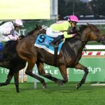 Kathynmarissa, horses, American Pharoah, Flower Bowl Stakes, jueves, 1 de octubre de 2026, Belmont Park. Foto: Coglaniese Photo & Susie Raisher
