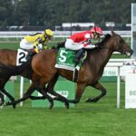 Minaret Station, horse, Instilled Regard, Joe Hirsch Turf Classic Stakes, jueves, 1 de octubre de 2026, Belmont Park. Foto: Coglaniese Photo & Susie Raisher