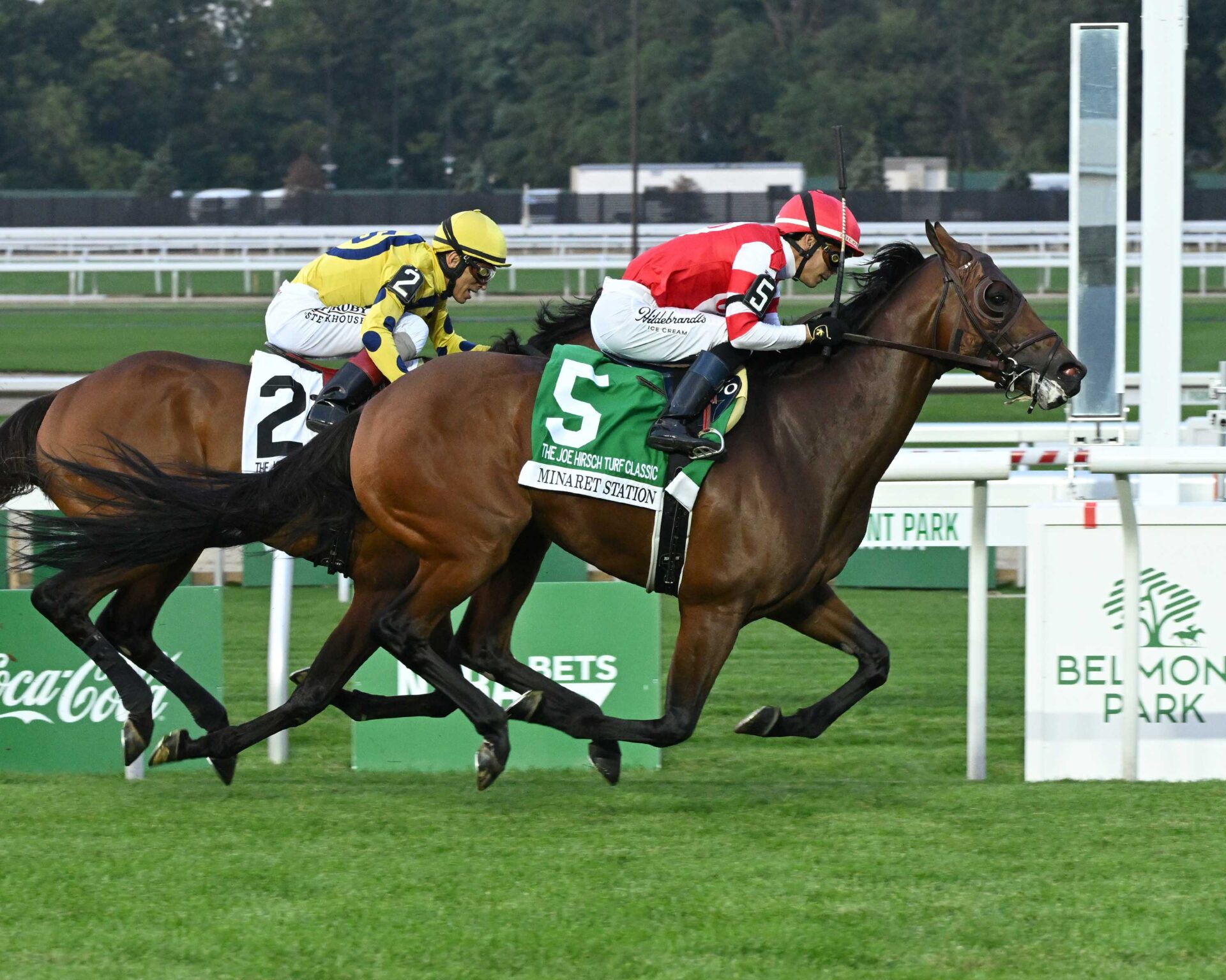 Minaret Station, horse, Instilled Regard, Joe Hirsch Turf Classic Stakes, jueves, 1 de octubre de 2026, Belmont Park. Foto: Coglaniese Photo & Susie Raisher