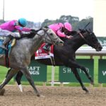 T Kraf, horses, Connect, Vosburgh Stakes, jueves, 1 de octubre de 2026, Belmont Park. Foto: Coglaniese Photo & Susie Raisher
