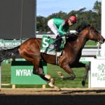 U. S. S. Valor, horse War Of Will, Champagne Stakes, sábado, 3 de octubre de 2026, Belmont Park. Foto: Coglaniese Photo & Susie Raisher